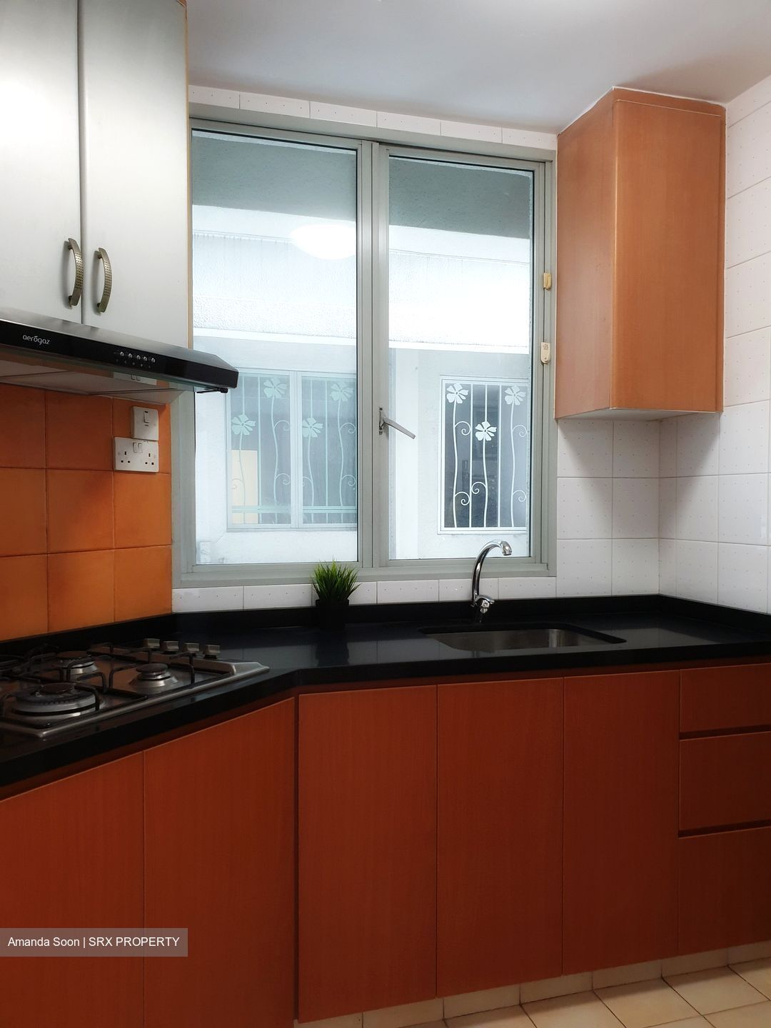 Sunshine Plaza (D7), Apartment #414020011